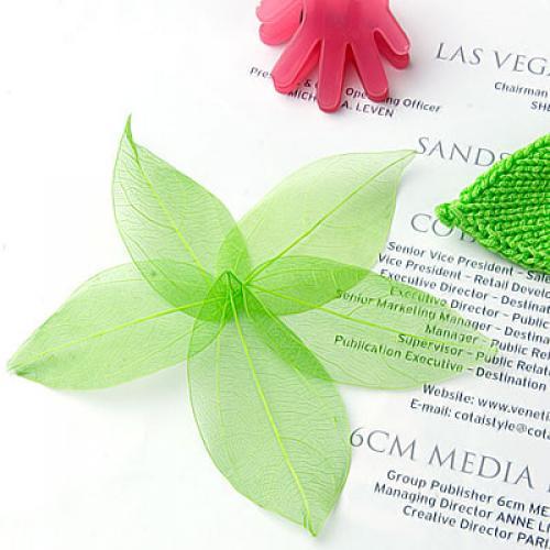 Craft Embellishment - Natural Catbrier Skeleton Leaves Multi Purpose
