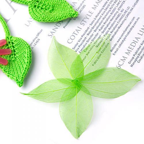Natural Catbrier Skeleton Leav – Craft Embellishment recenzja i cena