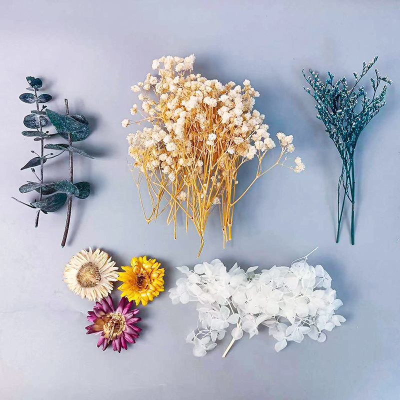 1pack Multifarious Dried Flowe – Craft Embellishment recenzja i cena