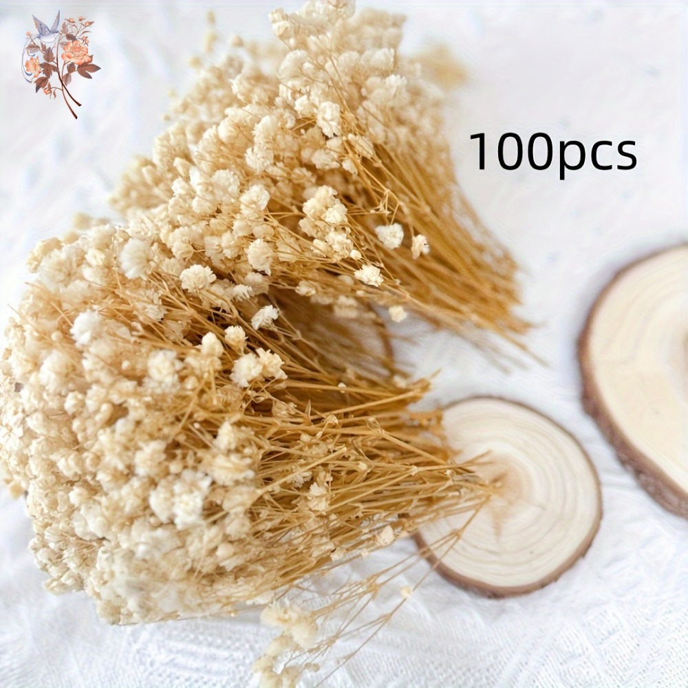 100pcs Mini Dried Baby's Breat – Craft Embellishment recenzja i cena