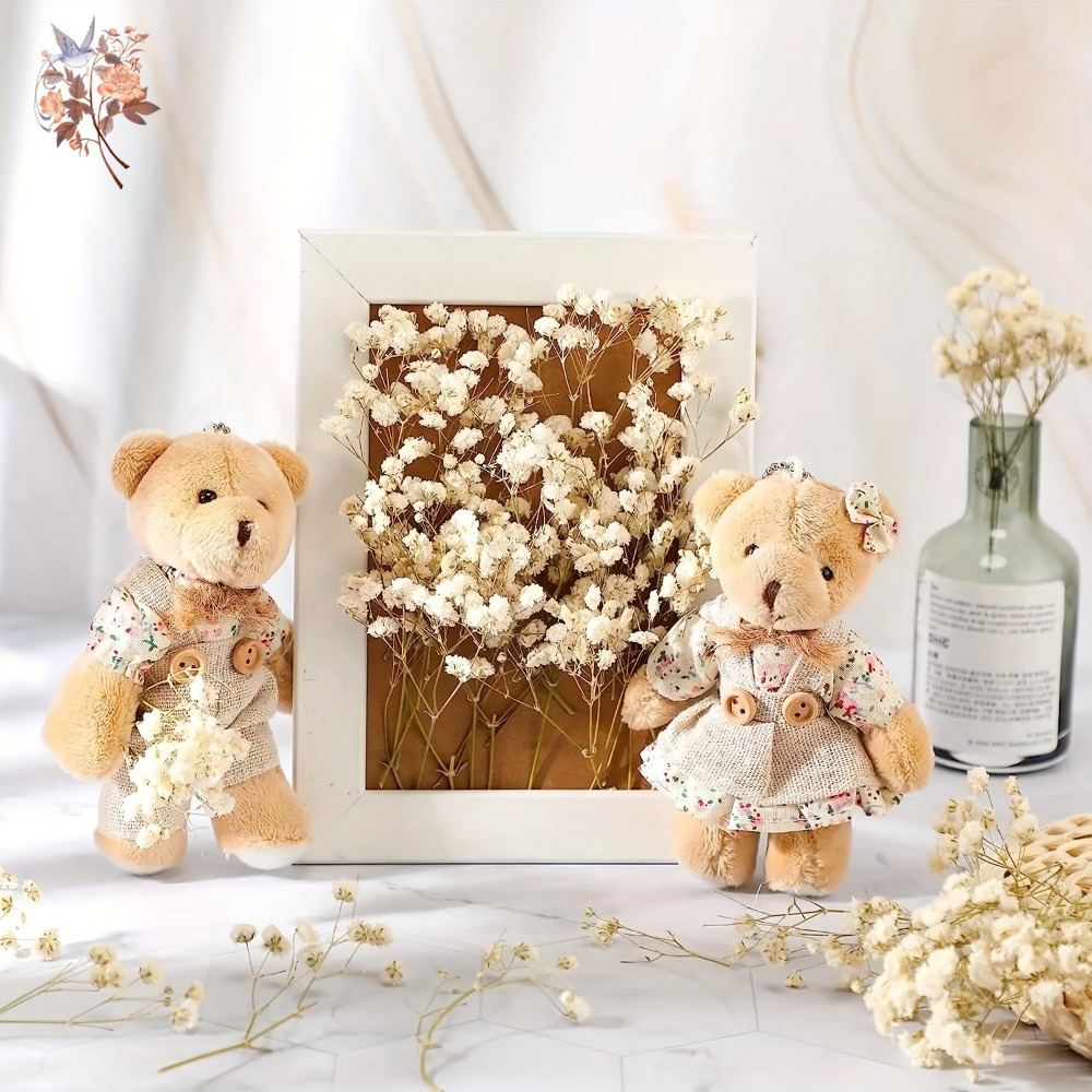 100pcs Mini Dried Baby's Breat – Craft Embellishment recenzja i cena